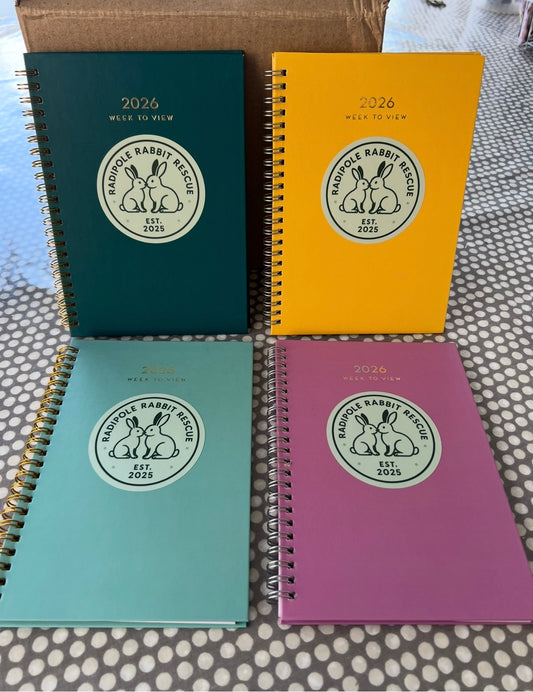 MZ-201 Silver 925 Horsehoe Buckle Necklace