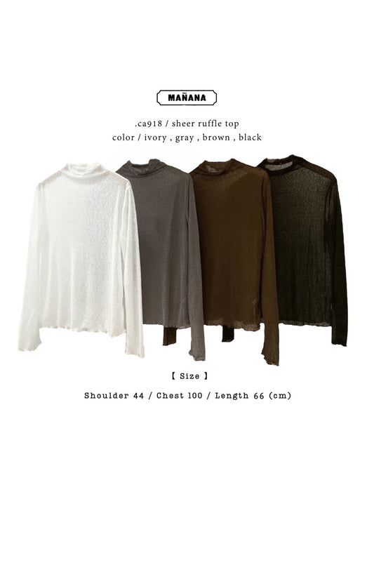 CA918 SHEER RUFFLE TOP【 買 2 件 減 $20 】