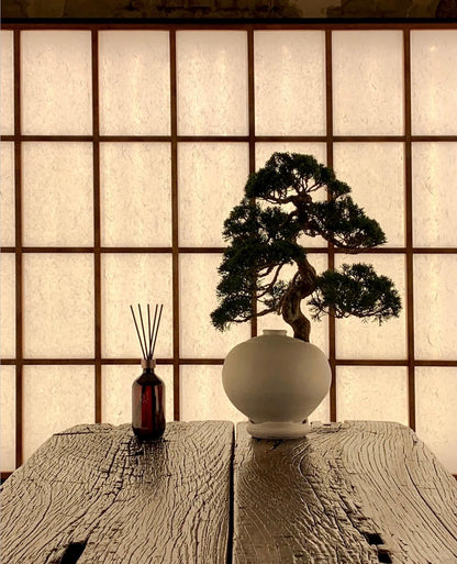 HETRAS. 高級擴香瓶 Premium Diffuser 500ml 2組