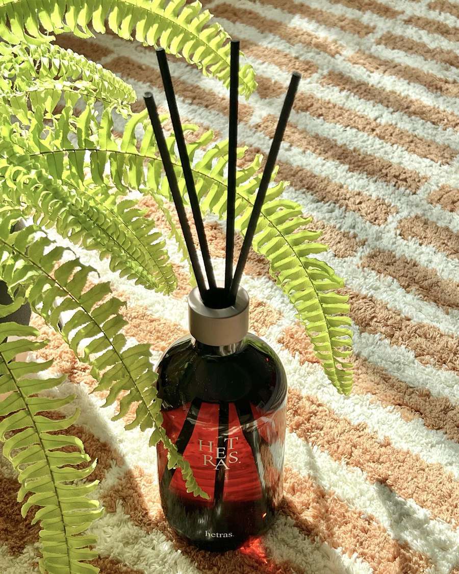 HETRAS. 高級擴香瓶 Premium Diffuser 500ml 2組