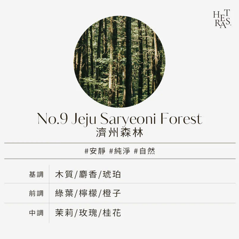 HETRAS. 高級擴香瓶 Premium Diffuser 500ml 2組