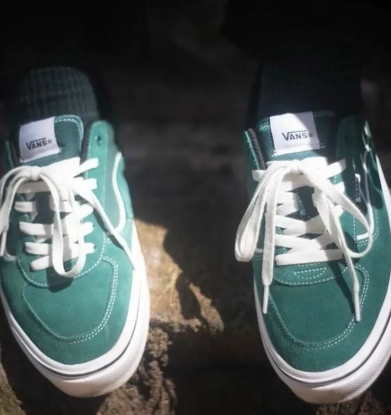 VANS MARVERICK [ 日韓限定版 ]